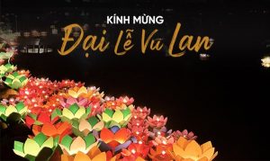 Bản tin Sala Garden T8.2021